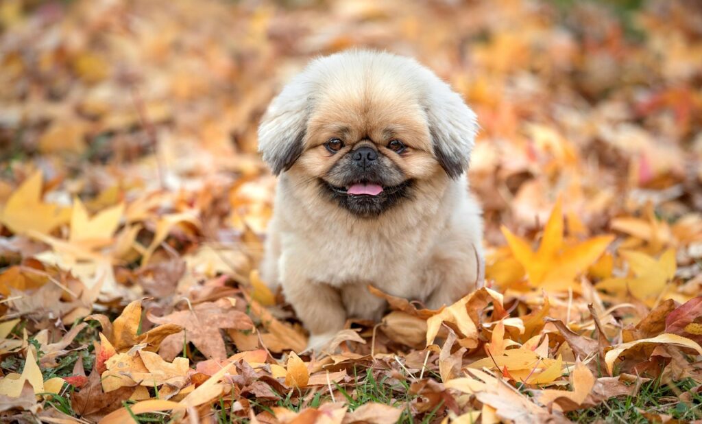 便秘と体臭の関係、その原因とは何ですか？