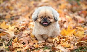 便秘と体臭の関係、その原因とは何ですか？