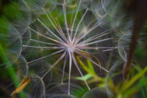 腸内フローラを改善することで体臭はどのように変わるできる？