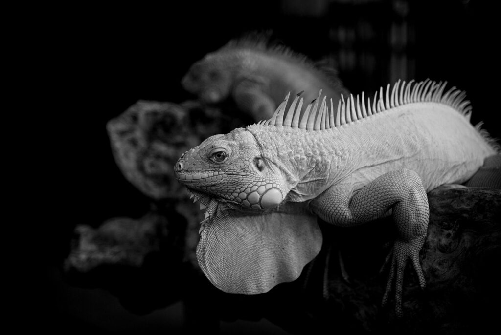 腸活で加齢臭を抑えるための効果的な対策は？